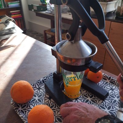 Pressage oranges 5